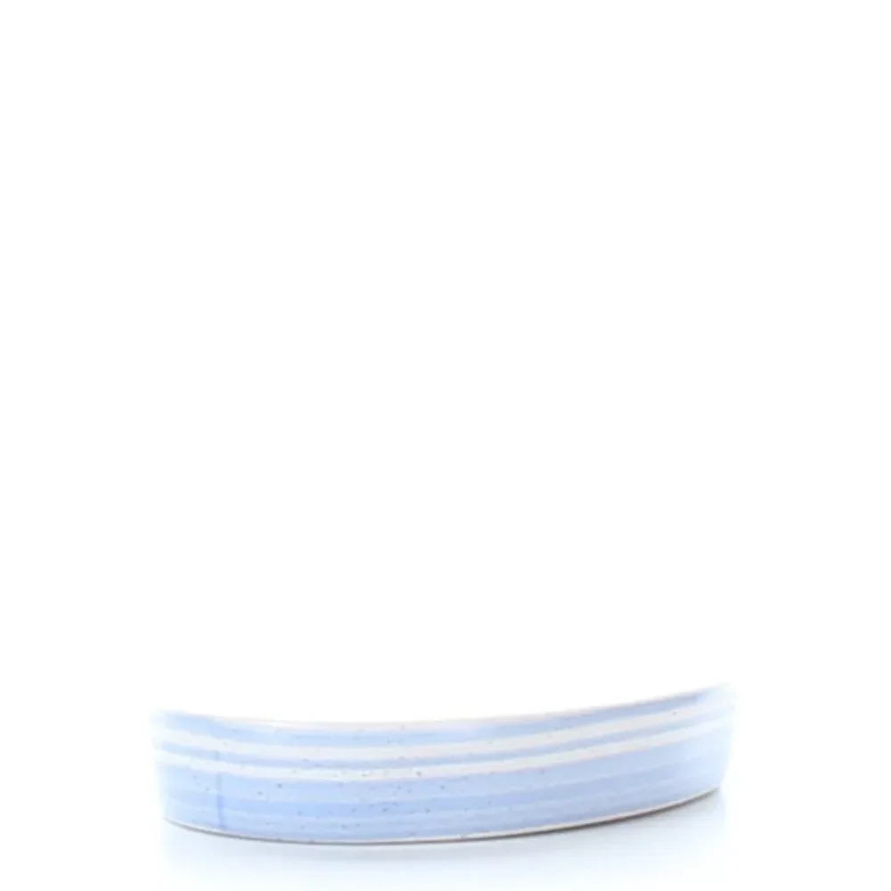 Blue and White Soap Dish
